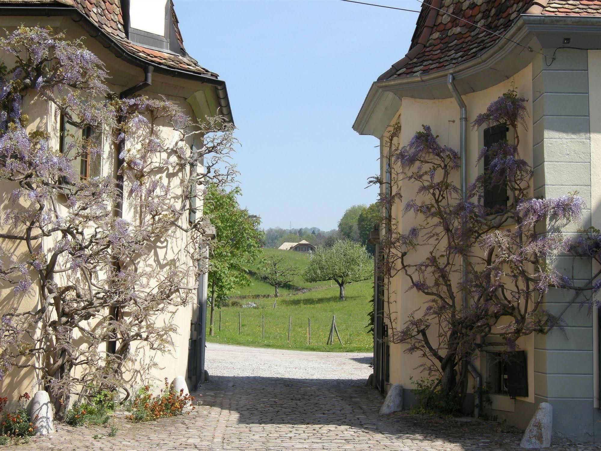 Hotel De La Vieille Tour Ла-Тур-де-Пей Экстерьер фото